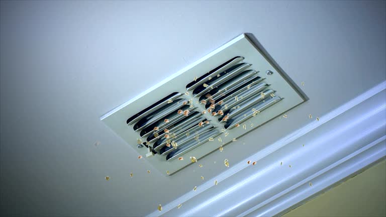 Best Commercial Air Duct Cleaning  in Key West, FL